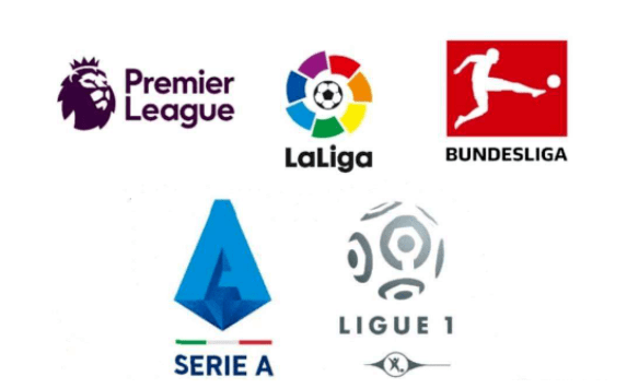 各国知名参, e两大项目