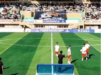 AR参与执, HpKNS AR参与执, HpKNS