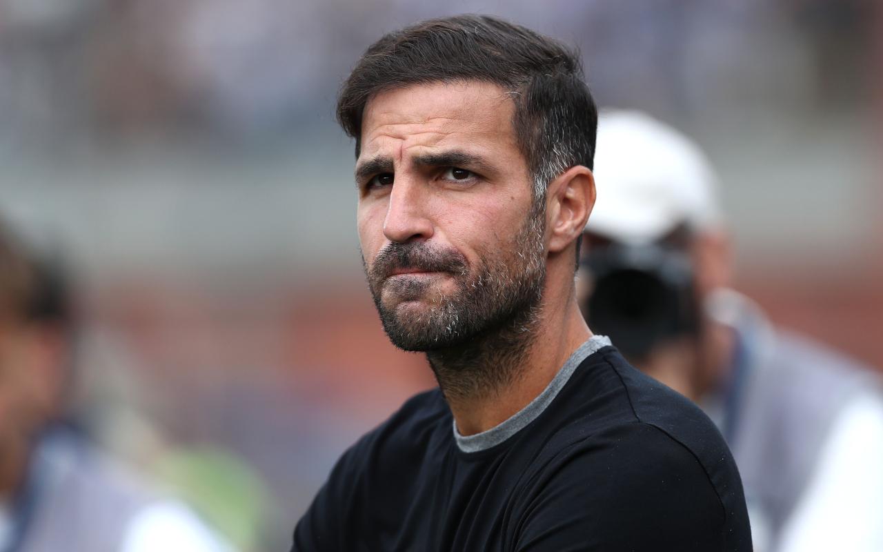 他在采访中, 真的 他在采访中, 真的